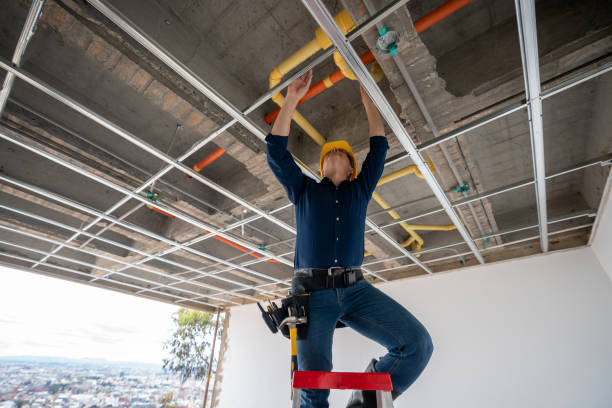 Best Local Plumber Services  in Mannington, WV